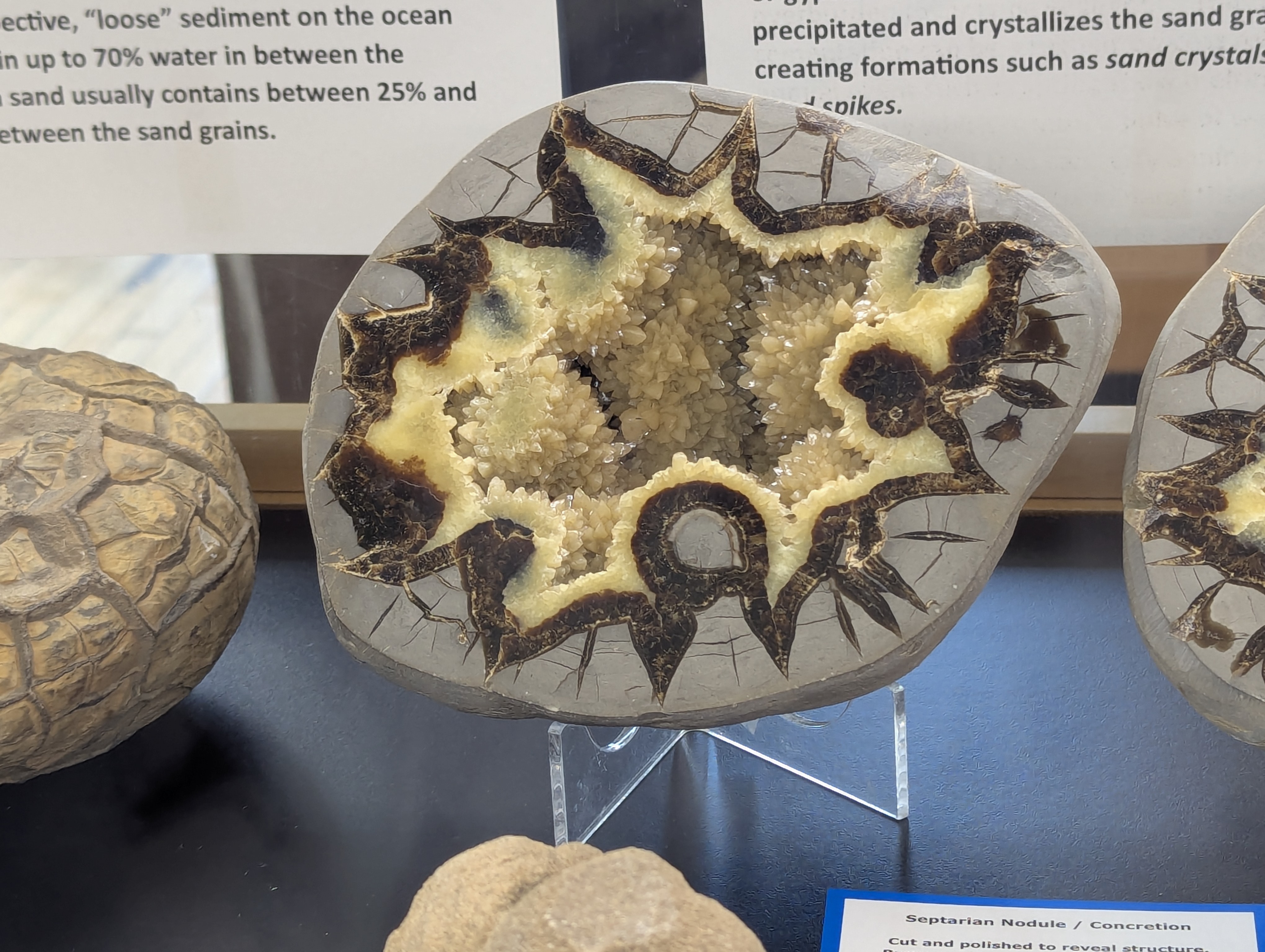 Colorado School of Mines, Geology Museum